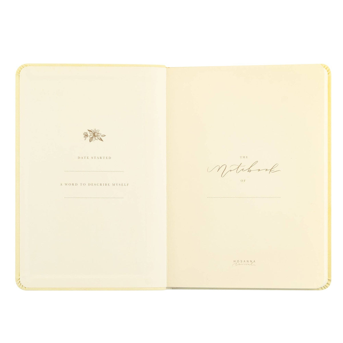 Opening pages with spaces for the owner's name, date started and a word to describe yourself