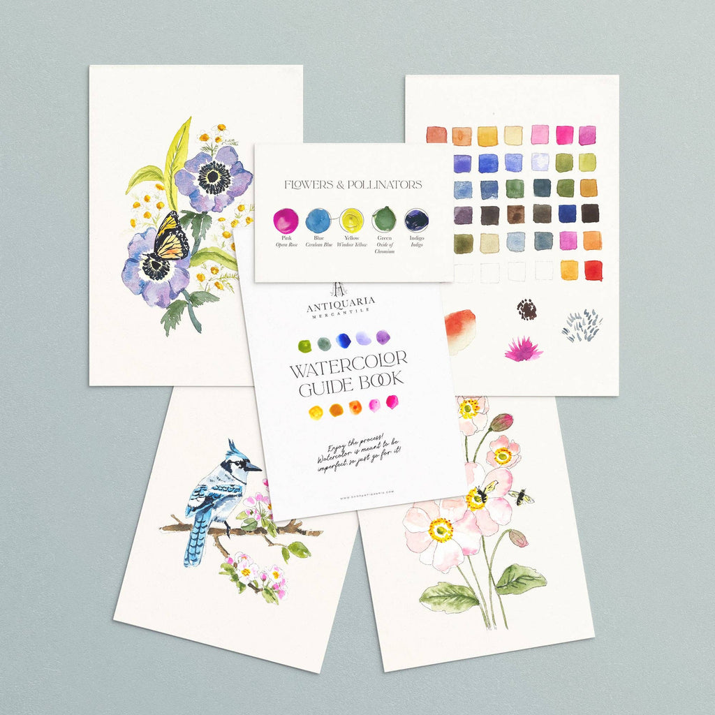 Pollinators kit contents with the color swatch sheet, on pale blue