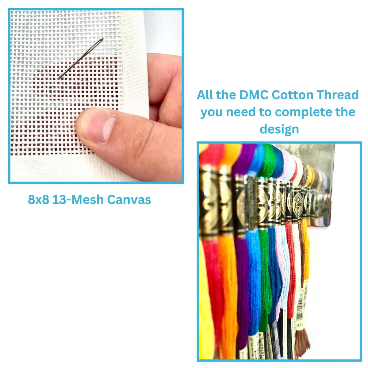 What's in the kit: the painted canvas and all the cotton thread needed to finish the design