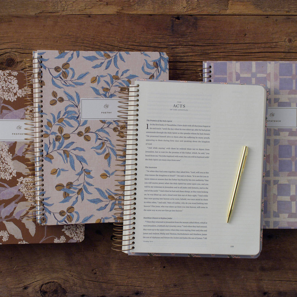 ESV Spiral-Bound Journaling Bible, Five-Volume Set, Artist (Cover Artwork by Lulie Wallace)
