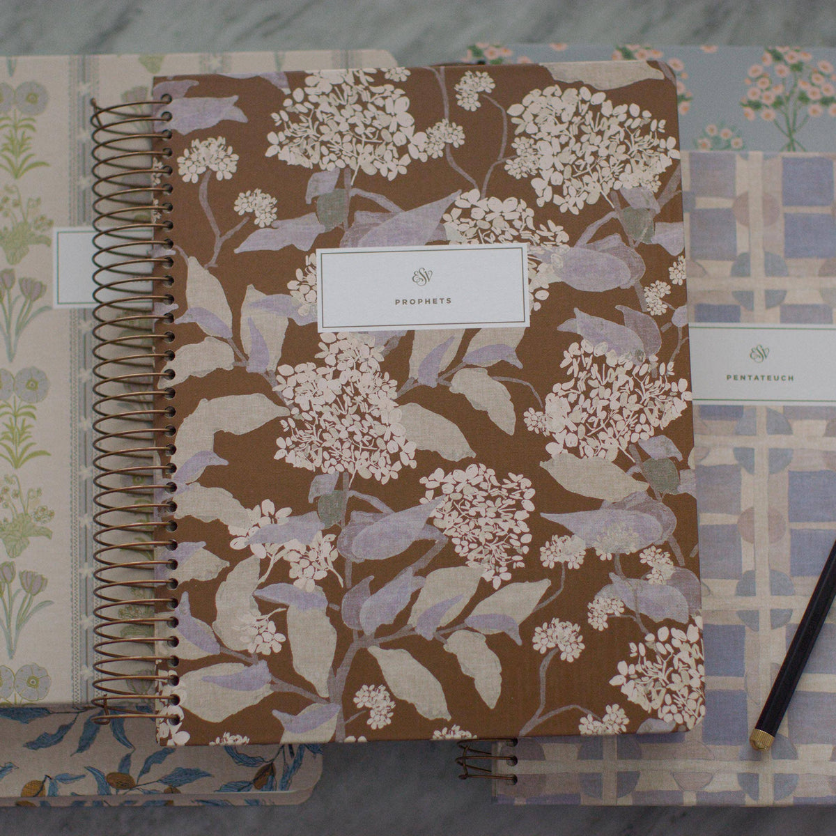 ESV Spiral-Bound Journaling Bible, Five-Volume Set, Artist (Cover Artwork by Lulie Wallace)