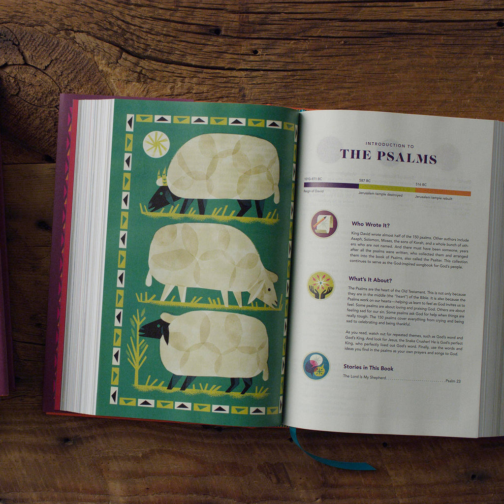 The Biggest Story Holy Bible for Kids — ESV, Hardcover