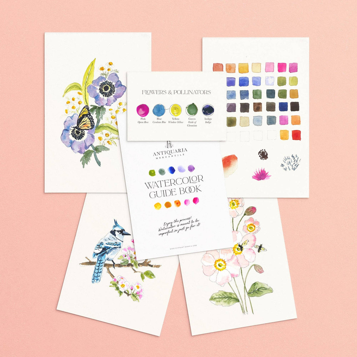 The same pollinators kit contents on a peach background