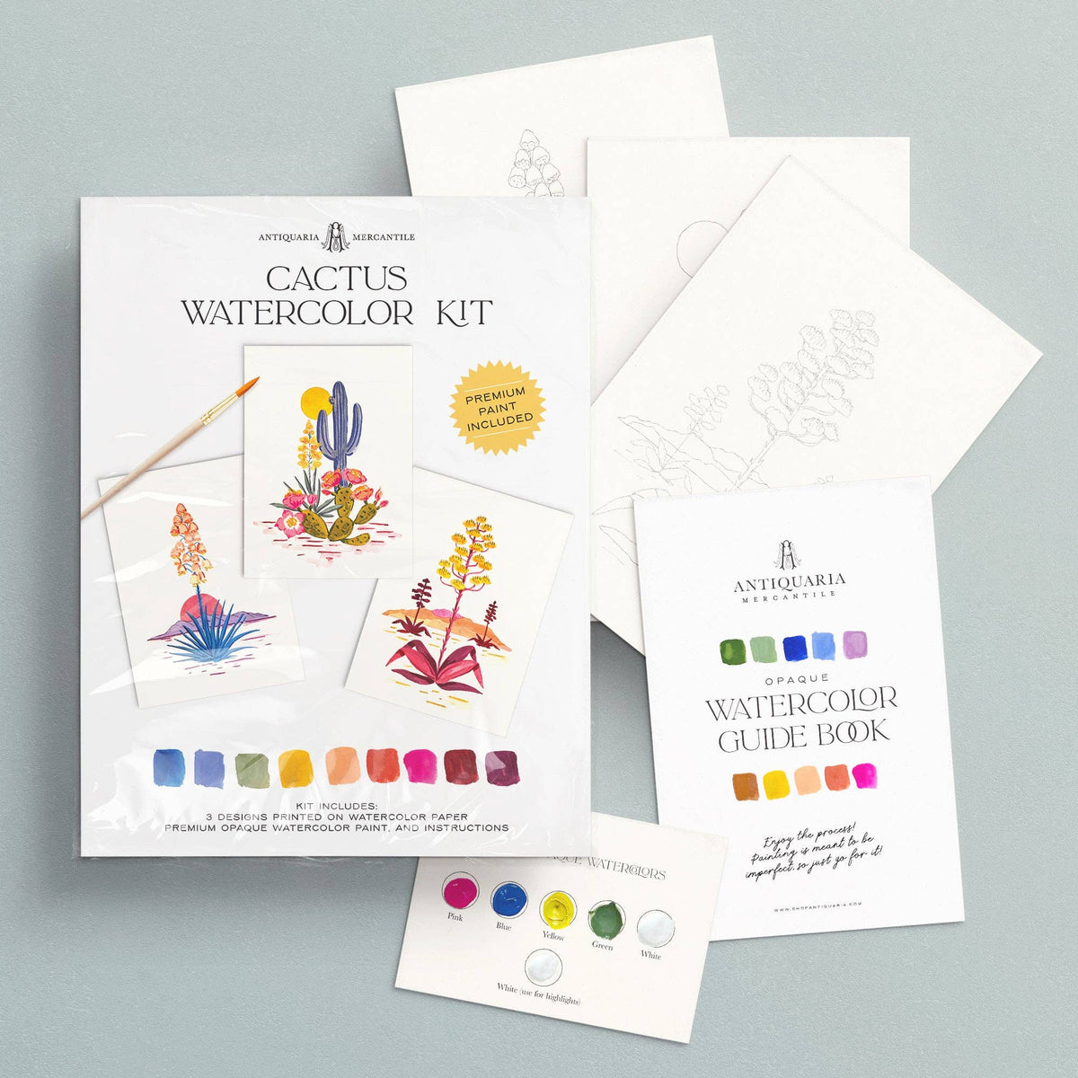 The cactus kit in its sleeve with the guide book, paint card and blank printed designs