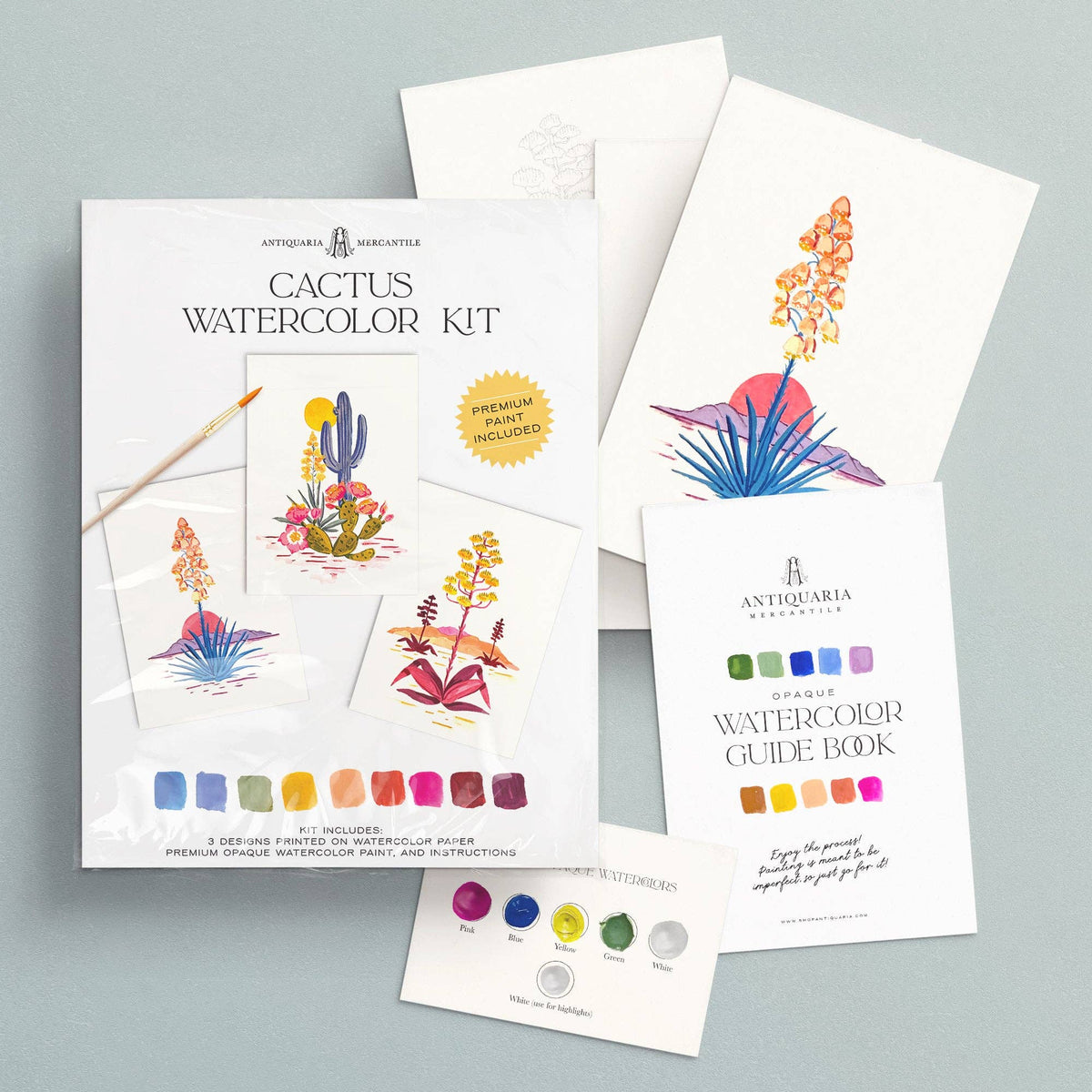 Kit contents fanned out: the packaged kit, guide book and painted cactus designs