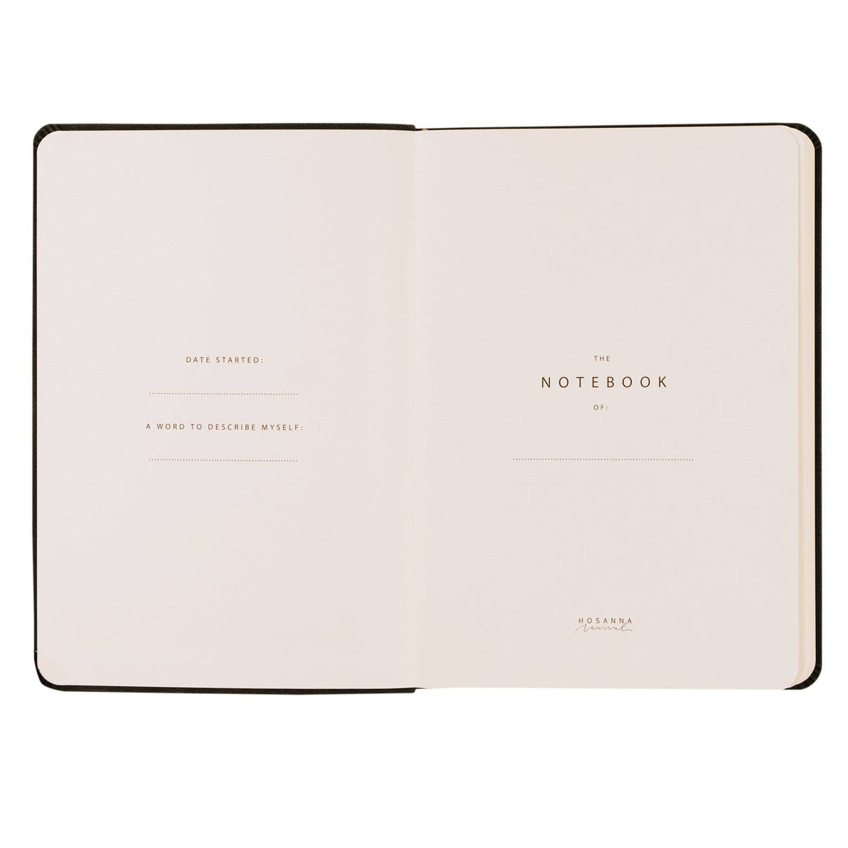 Opening pages with spaces for the owner's name, date started and a word to describe yourself