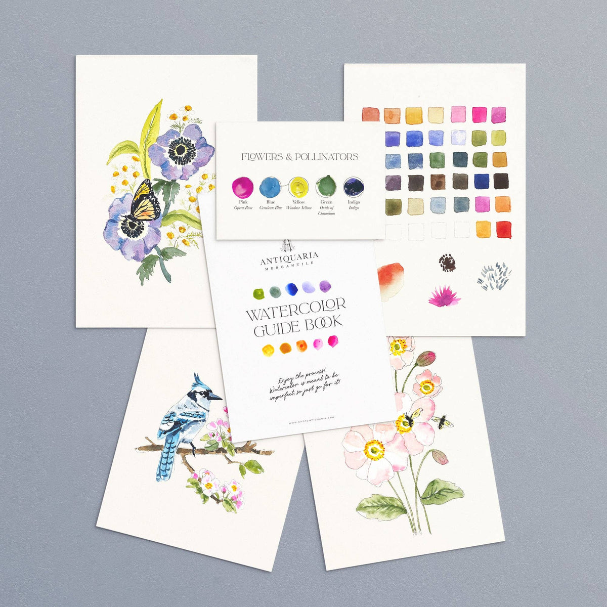 Pollinators watercolor kit: butterfly on anemone, blue jay on blossom and bee on poppies, with the guide book