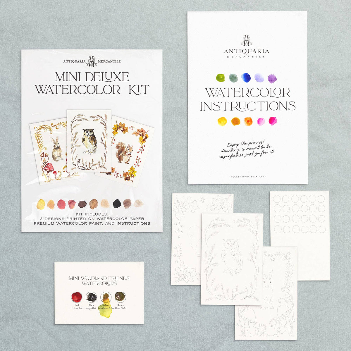 The woodland kit in its sleeve with instructions, paint card and blank printed designs