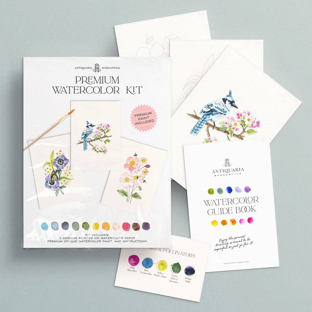 The pollinators kit in its sleeve with the guide book and paint card