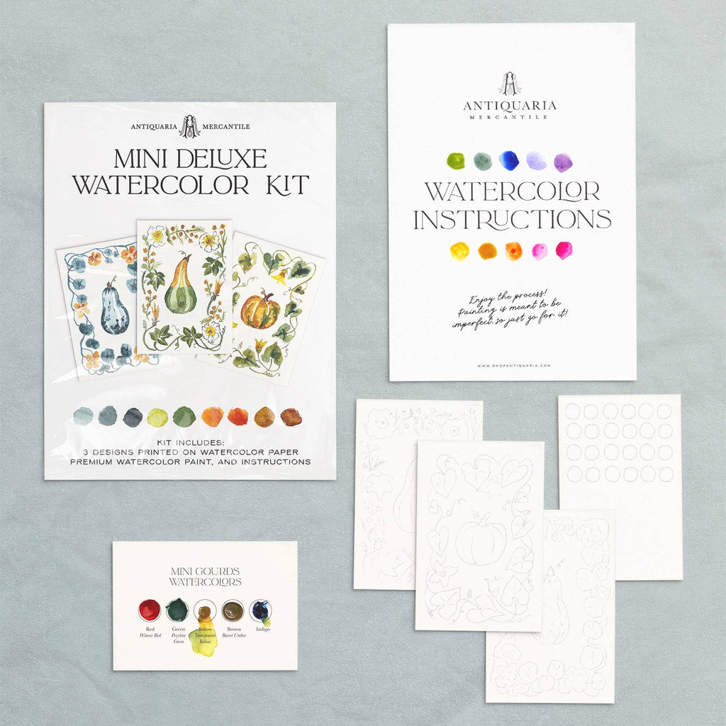 The gourds kit in its sleeve with instructions, paint card and blank printed designs