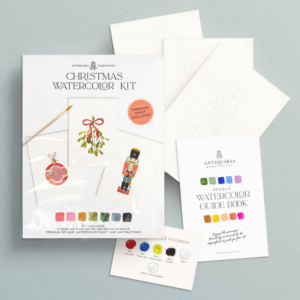 The Christmas kit in its sleeve with the guide book and paint card