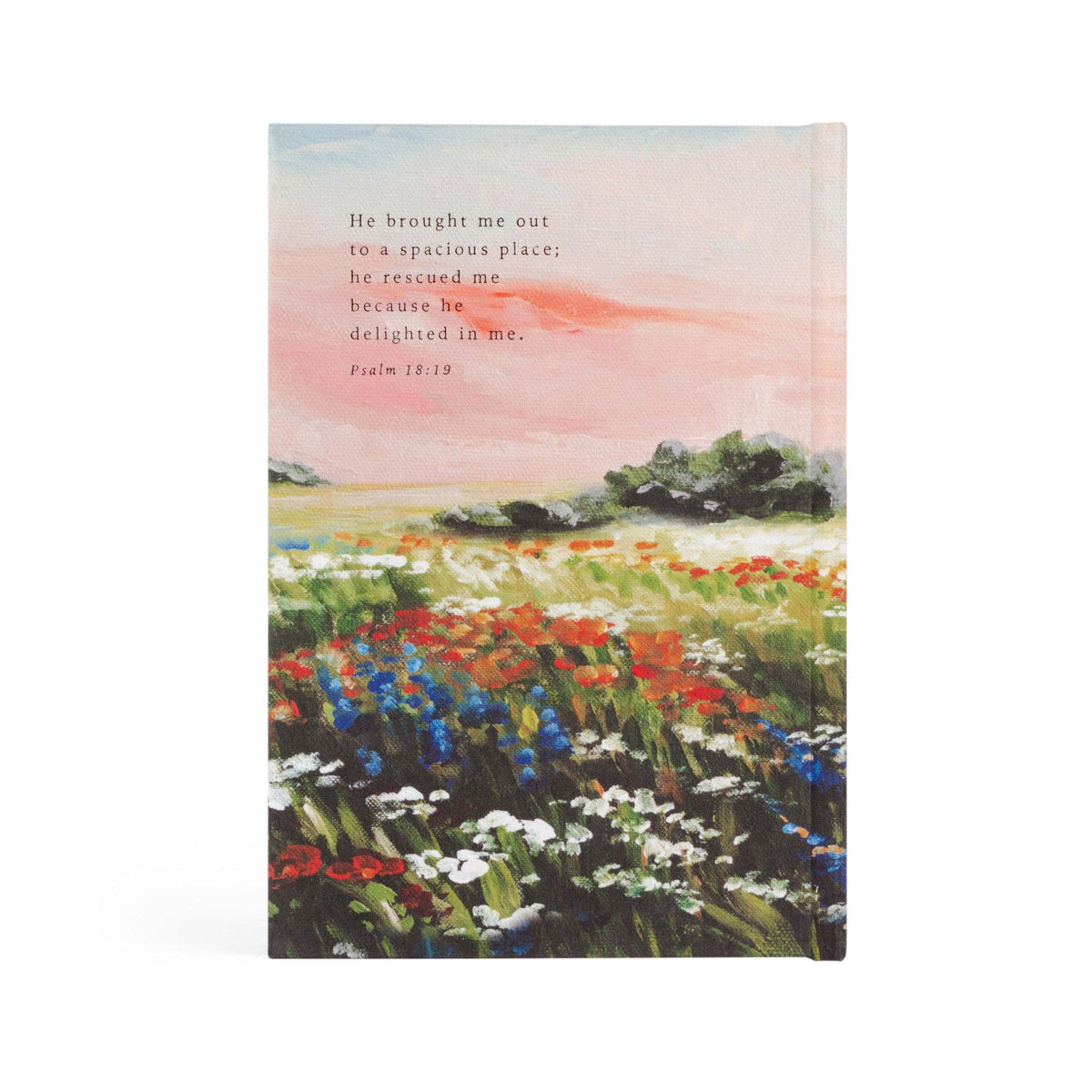 Back cover with Psalm 18:19, "He brought me out to a spacious place"